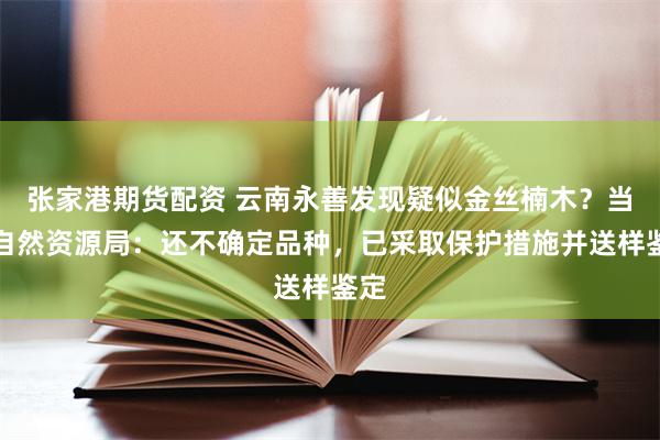 张家港期货配资 云南永善发现疑似金丝楠木？当地自然资源局：还不确定品种，已采取保护措施并送样鉴定